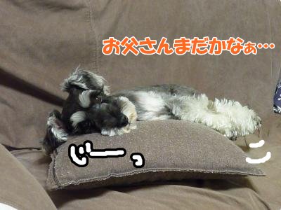 10_13+020_convert_20111014114256.jpg