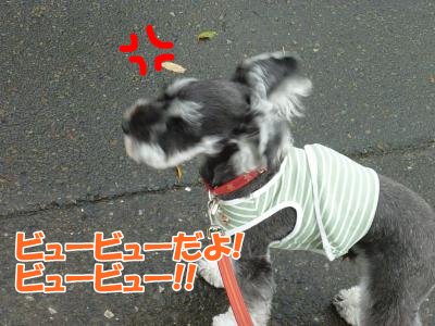 10_15+021_convert_20111015085529.jpg