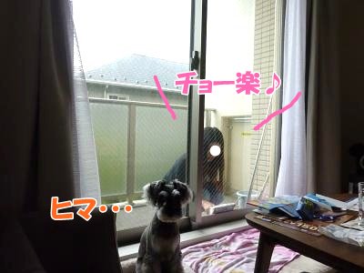 10_16+008_convert_20111016140128.jpg