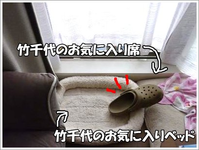 10_27+009_convert_20111027093106.jpg