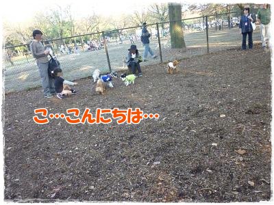 11_14+008_convert_20111115091112.jpg
