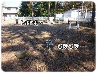 11_5+070_convert_20111105103600.jpg