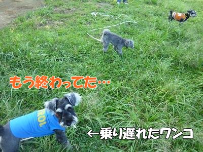 9_19+120_convert_20110919174718.jpg