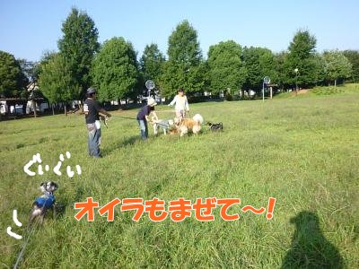 9_19+124_convert_20110919174803.jpg
