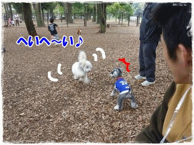 anigif11_11_2.gif