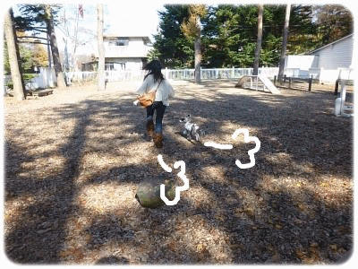 anigif11_5_3.gif