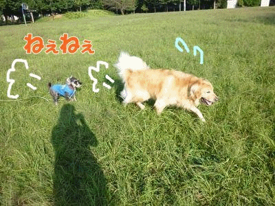 anigif9_19.gif