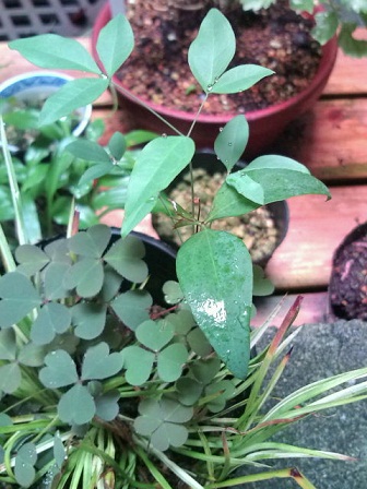 20111015092553.jpg