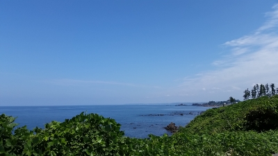 20140908_120956.jpg
