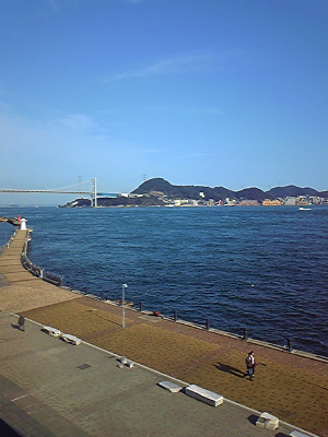ebifugu (5)