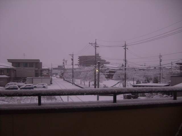 200812270001.JPG