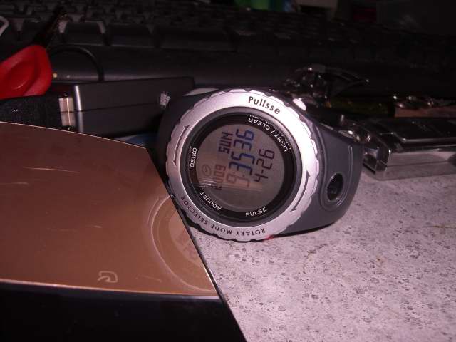 walkingwatch0001.JPG