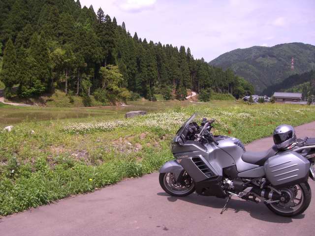 kawamuki0002.JPG