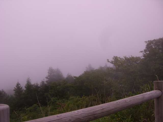 kawamuki20003.JPG
