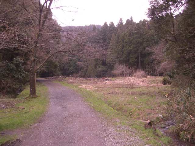201003270006.JPG