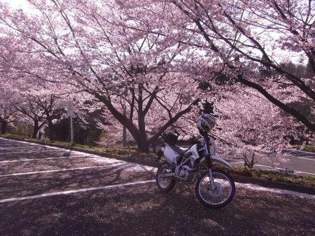 201004170002.JPG