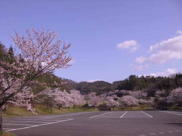 201004170003.JPG