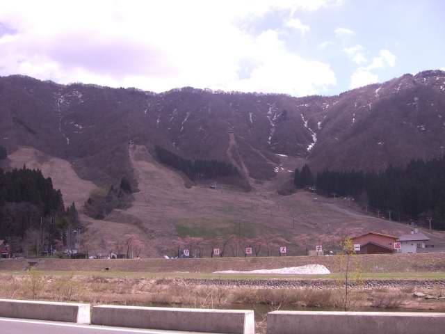 201004240003_1.JPG