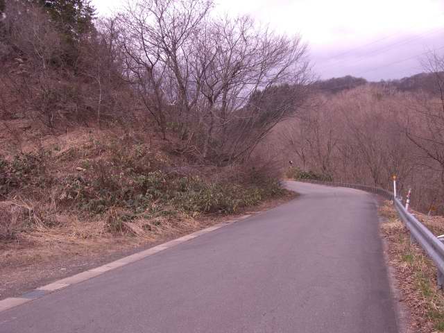 201004240006_1.JPG