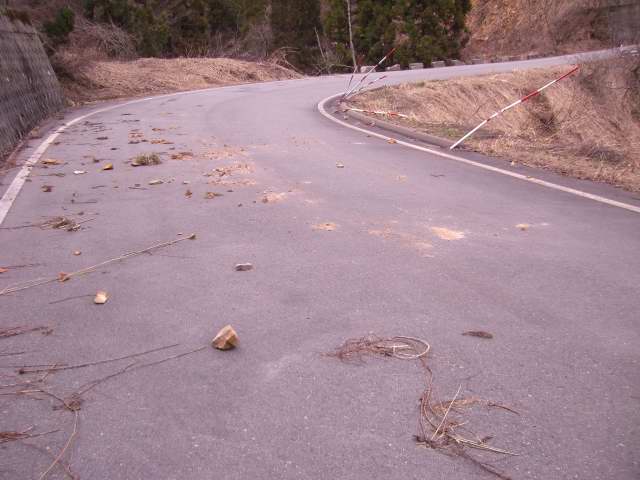 201004240009.JPG