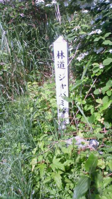 1006060004.JPG
