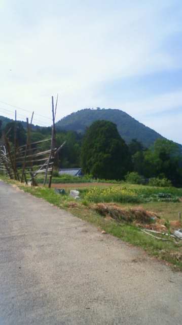 1006060007.JPG