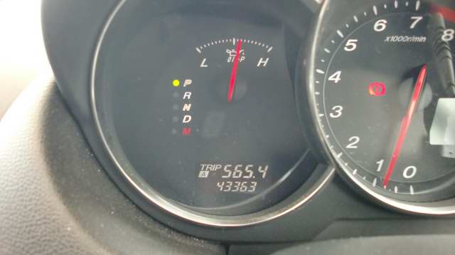 1006130011.JPG