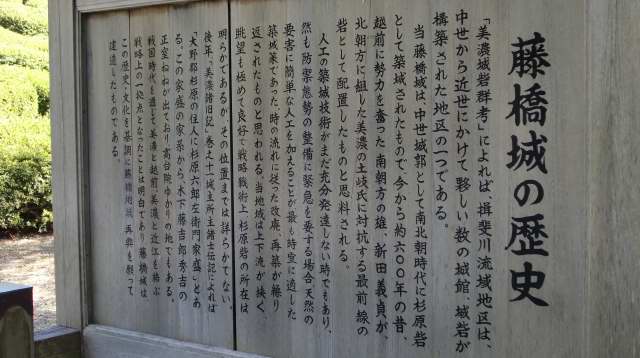 1008150005.JPG