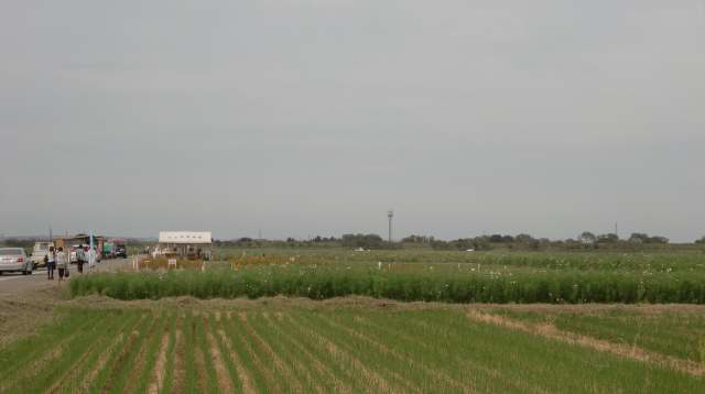 201009260001.JPG