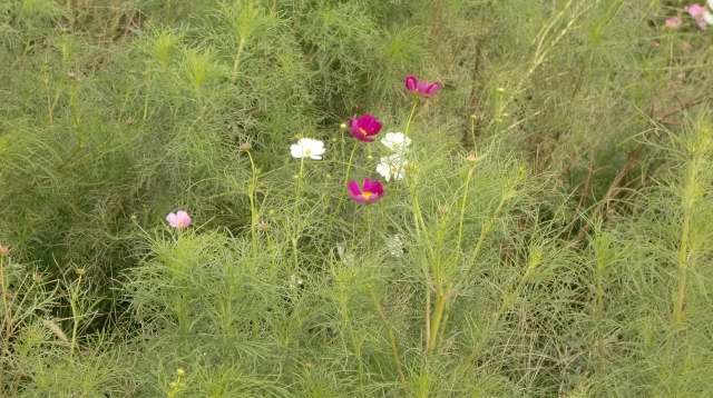 201009260002.JPG