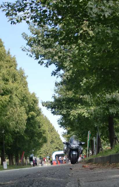 2010101170010.JPG