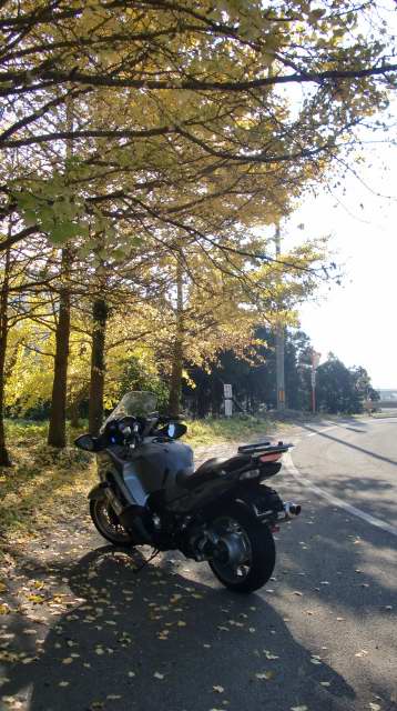 201011210005.JPG