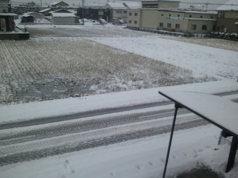 PICT0001.jpg