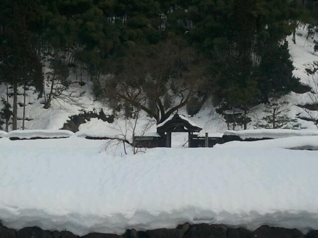 20110206_173557.jpg