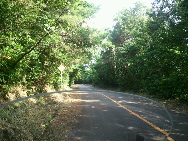rps20110724_124057.jpg