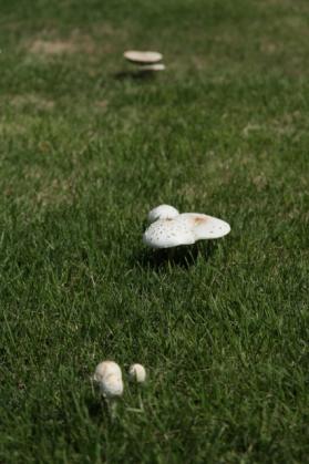 IMG_2126IMG_2126_20110818224534.jpg