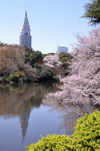 2012-04-08_02
