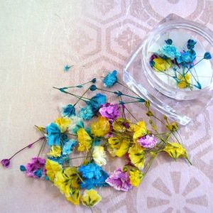 押し花くきつき2_R