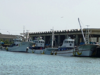 P1020215.jpg