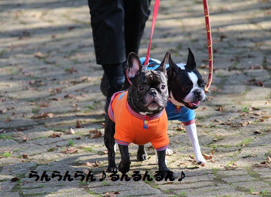 らんらんらん♪るんるんるん♪