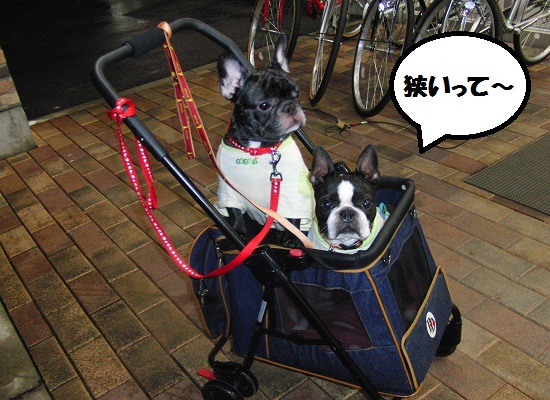狭いって~