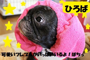 ひろば画像