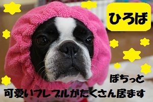 ひろば・たま画像