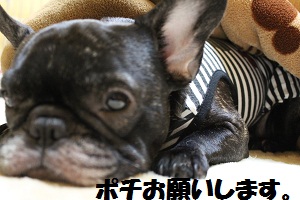 ふくポチ