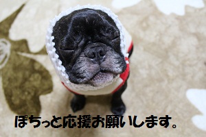 変顔ぽちふく