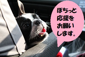 応援たま車の助手席