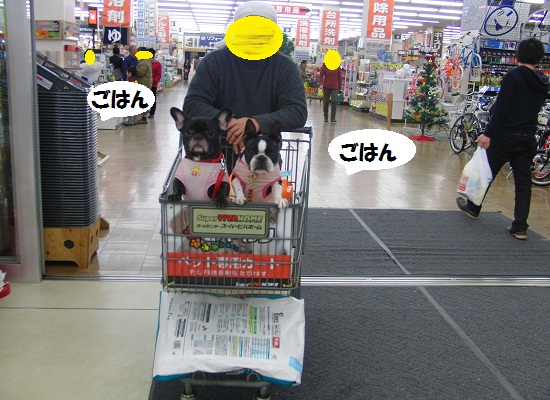ごはん