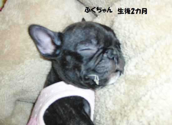生後2カ月 ふく