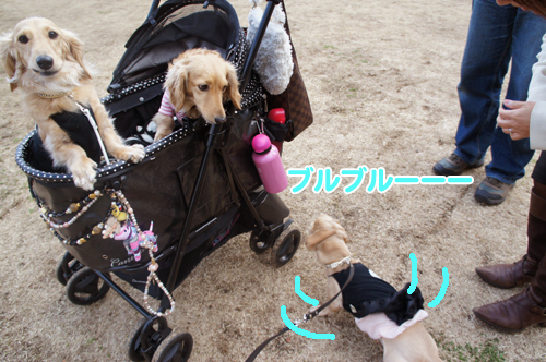 2012031419
