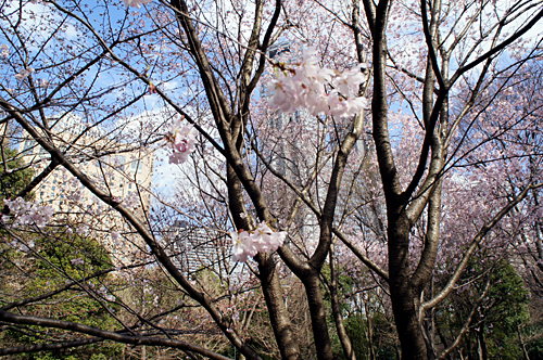 2012040212